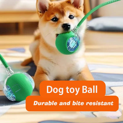 Smart Rolling Dog Ball – Automatic, Rechargeable, and Built for Play!