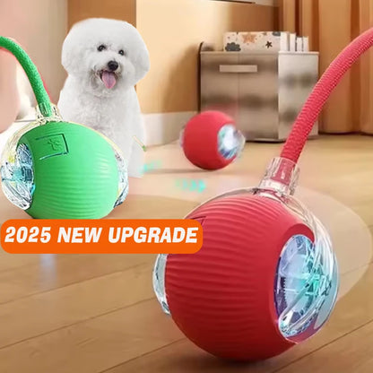 Smart Rolling Dog Ball – Automatic, Rechargeable, and Built for Play!