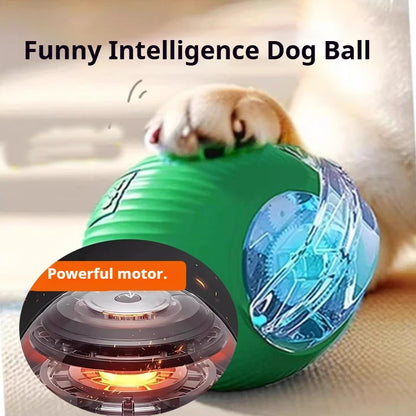 Smart Rolling Dog Ball – Automatic, Rechargeable, and Built for Play!