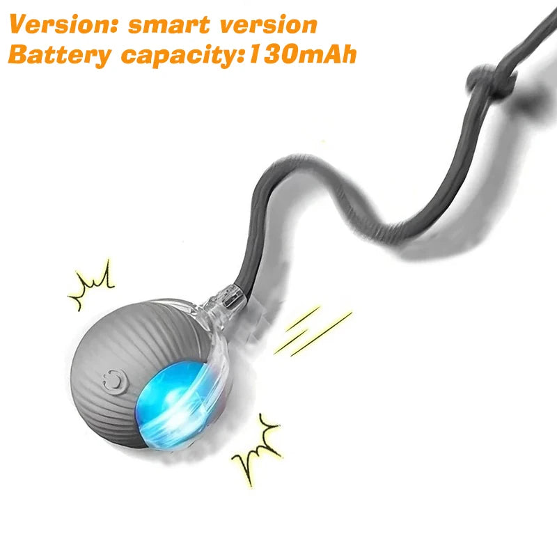 Smart Rolling Dog Ball – Automatic, Rechargeable, and Built for Play!