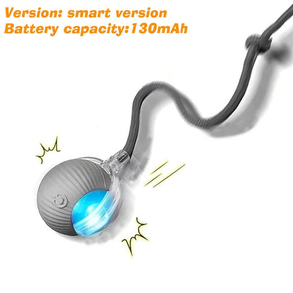Smart Rolling Dog Ball – Automatic, Rechargeable, and Built for Play!