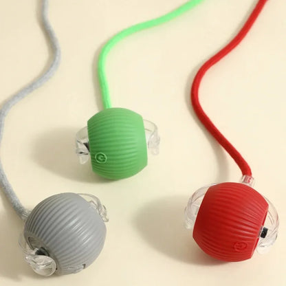 Smart Rolling Dog Ball – Automatic, Rechargeable, and Built for Play!