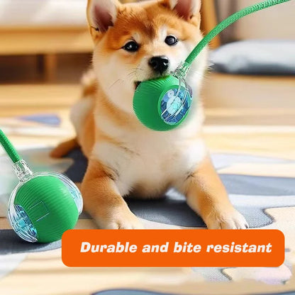 Smart Rolling Dog Ball – Automatic, Rechargeable, and Built for Play!