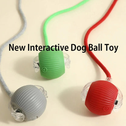 Smart Rolling Dog Ball – Automatic, Rechargeable, and Built for Play!