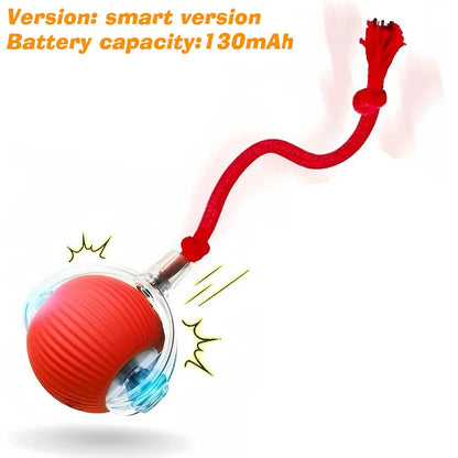 Smart Rolling Dog Ball – Automatic, Rechargeable, and Built for Play!