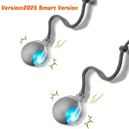 Smart Rolling Dog Ball – Automatic, Rechargeable, and Built for Play!