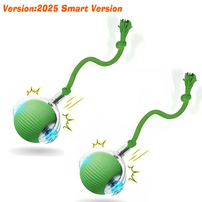 Smart Rolling Dog Ball – Automatic, Rechargeable, and Built for Play!