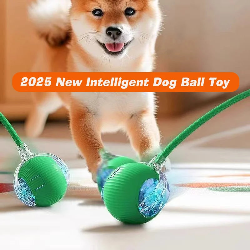 Smart Rolling Dog Ball – Automatic, Rechargeable, and Built for Play!