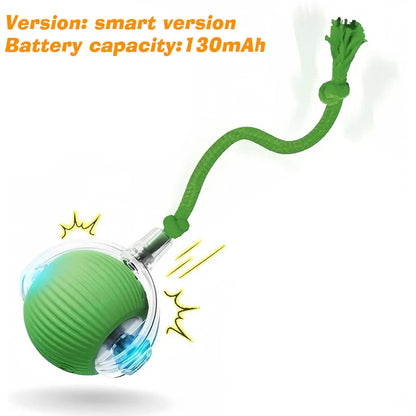 Smart Rolling Dog Ball – Automatic, Rechargeable, and Built for Play!
