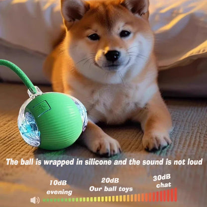 Smart Rolling Dog Ball – Automatic, Rechargeable, and Built for Play!