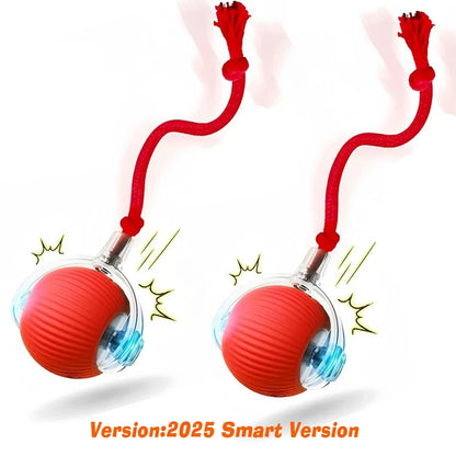 Smart Rolling Dog Ball – Automatic, Rechargeable, and Built for Play!